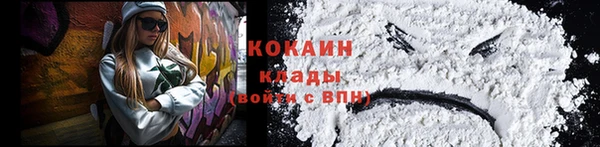сатива Беломорск