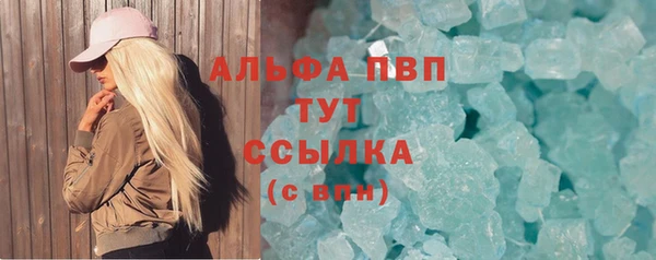сатива Беломорск