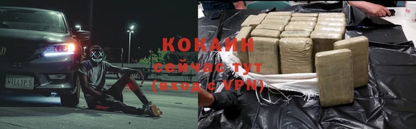 сатива Беломорск