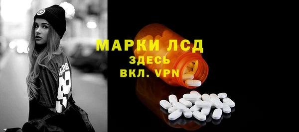 сатива Беломорск