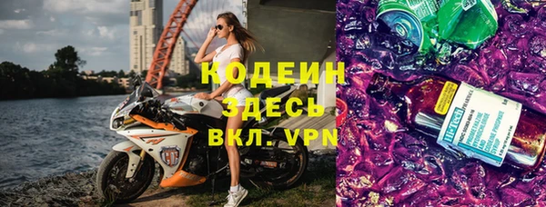 сатива Беломорск