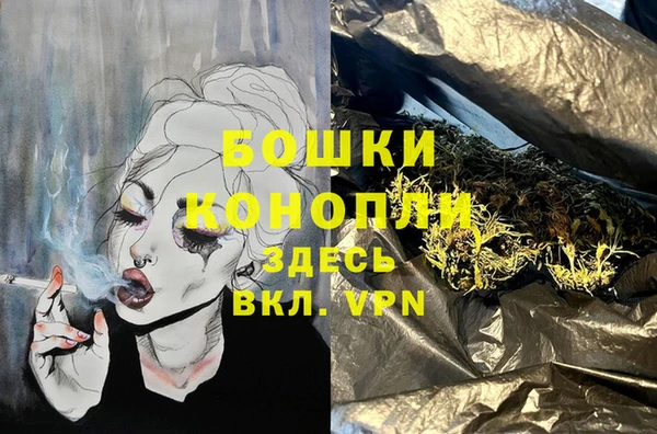сатива Беломорск