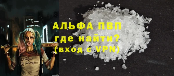 сатива Беломорск